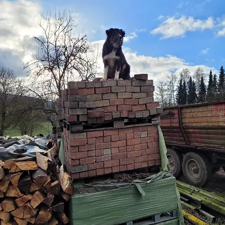 Apartment Taubenschlag *